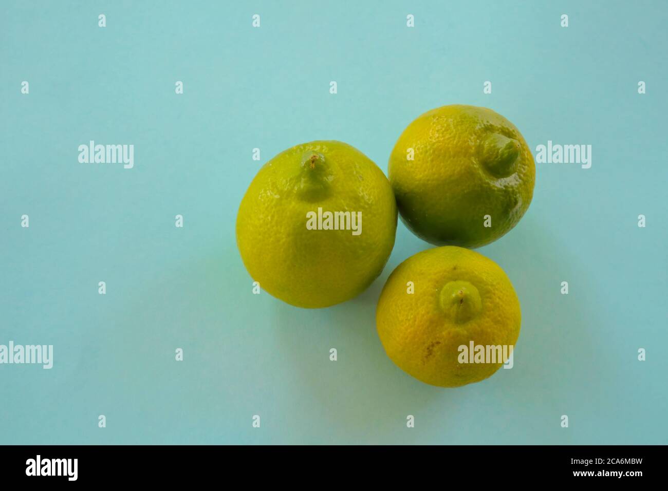 Isolated Mexican Lima, mousambi, common sweet lemon on a teal background, scientific name Citrus limetta Stock Photo