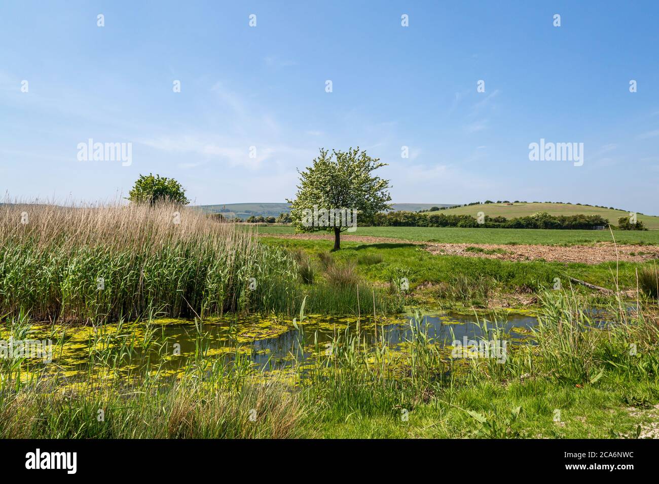 A rural sussex landscape on a sunny spring day Stock Photo - Alamy