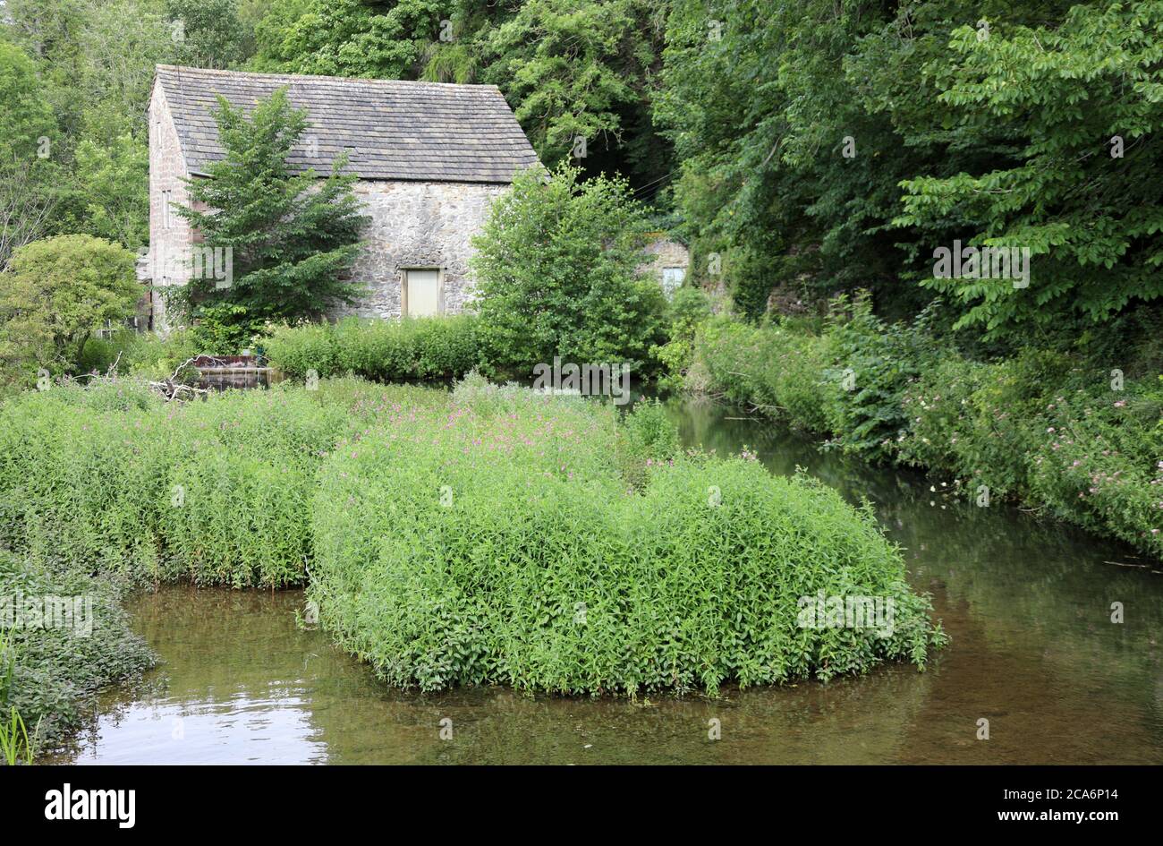 Old Corn Mill on the River Lathkill at the Peak District hamlet of