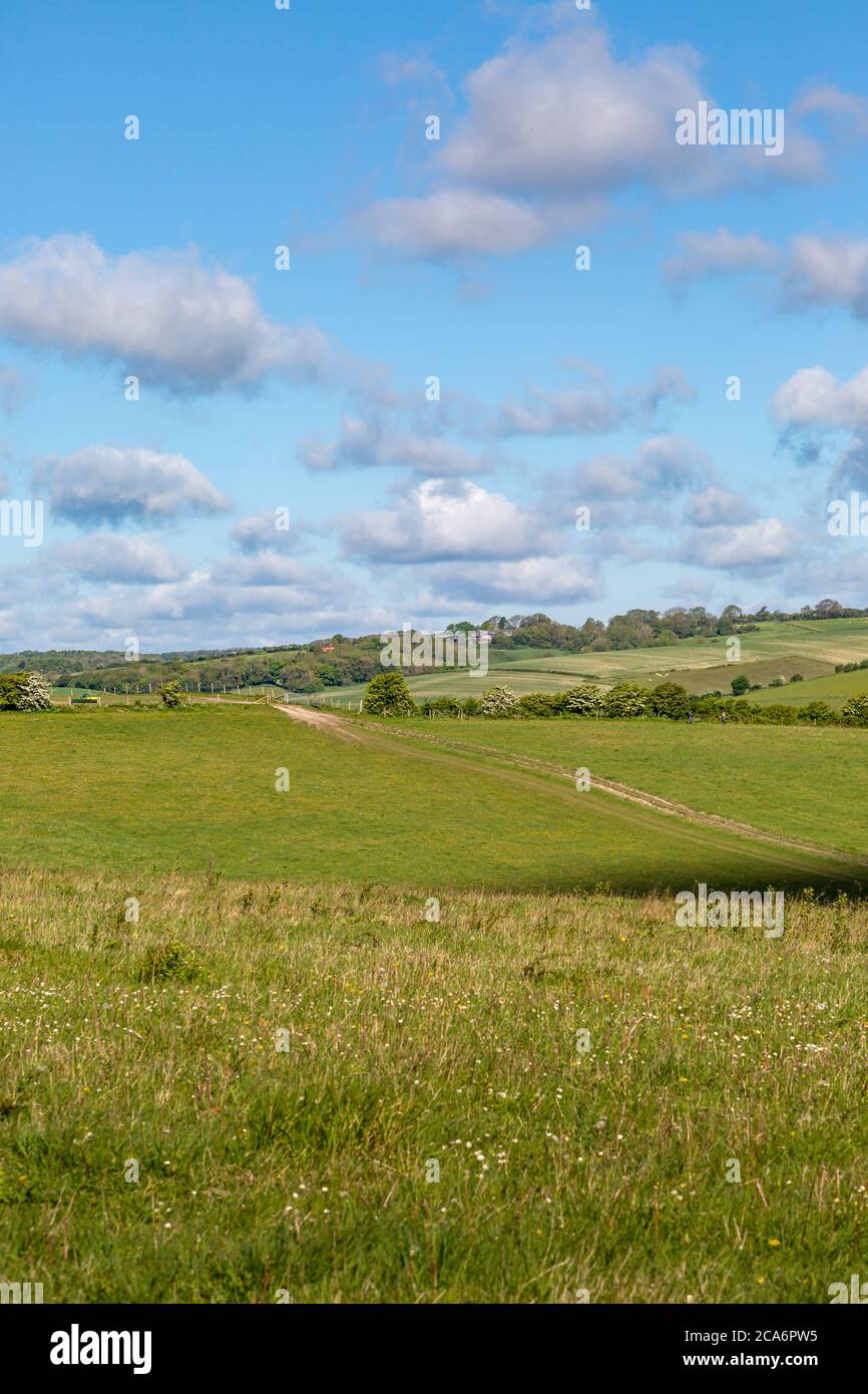 Green fields in the South Downs on a sunny spring day Stock Photo - Alamy