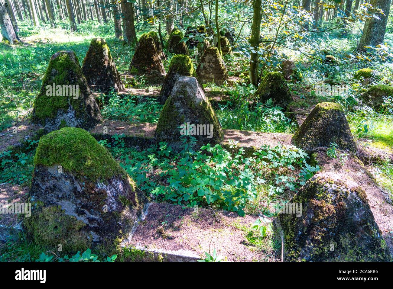 Remains of the former Westwall, tank traps, on the border with Belgium, in a forest near the village of Miescheid, NRW, Germany, Stock Photo