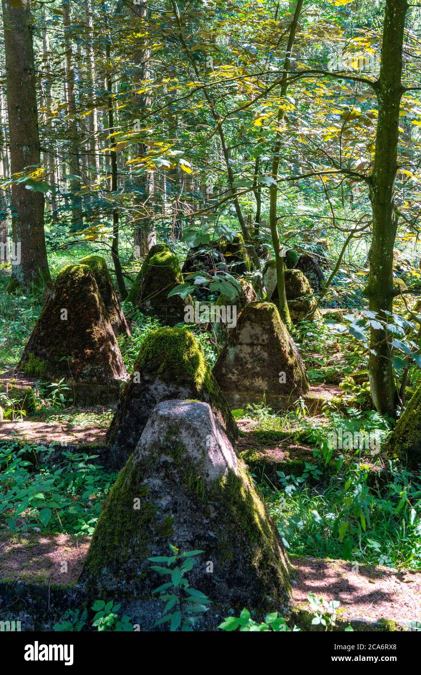 Remains of the former Westwall, tank traps, on the border with Belgium, in a forest near the village of Miescheid, NRW, Germany, Stock Photo