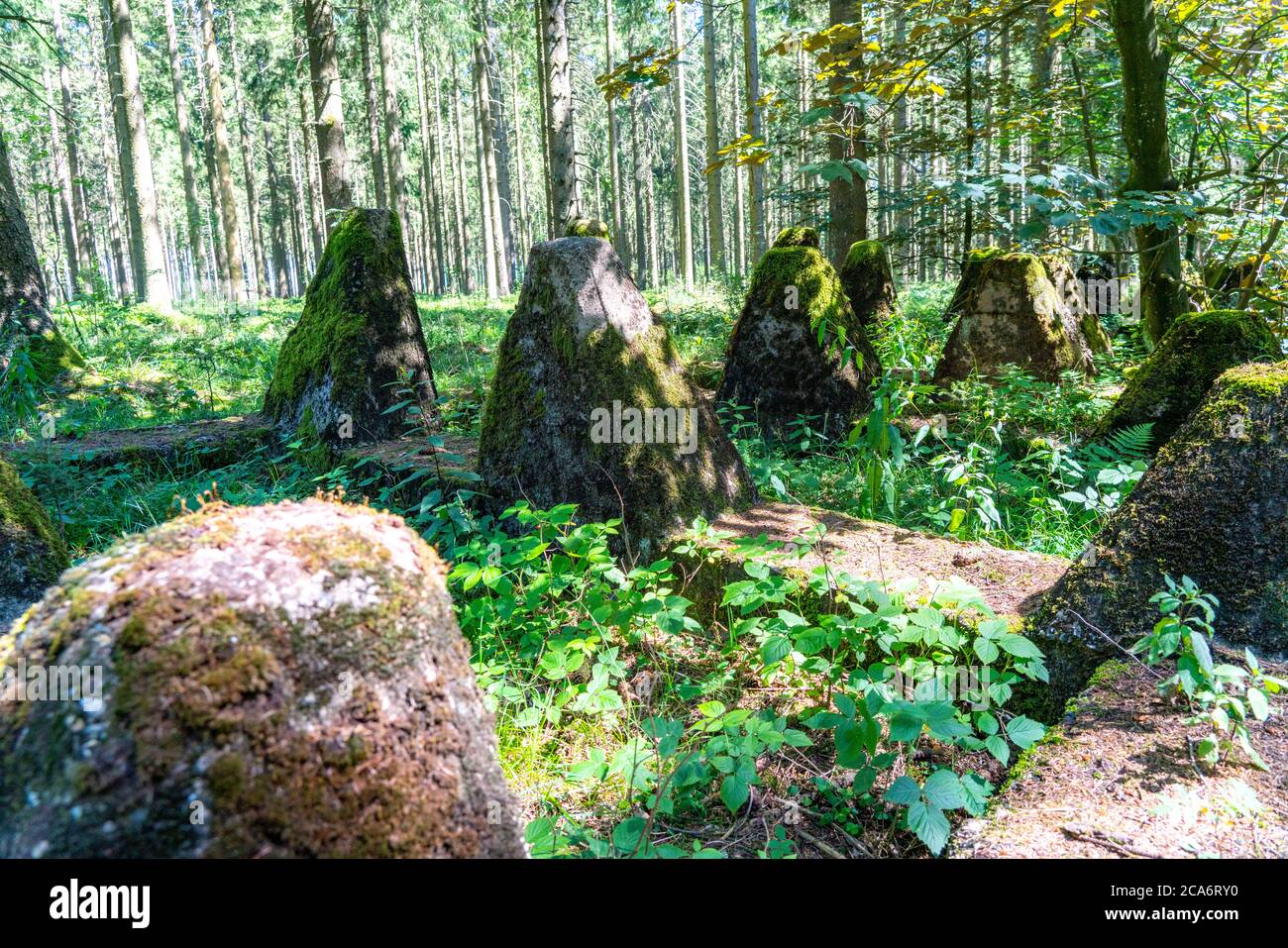 Remains of the former Westwall, tank traps, on the border with Belgium, in a forest near the village of Miescheid, NRW, Germany, Stock Photo