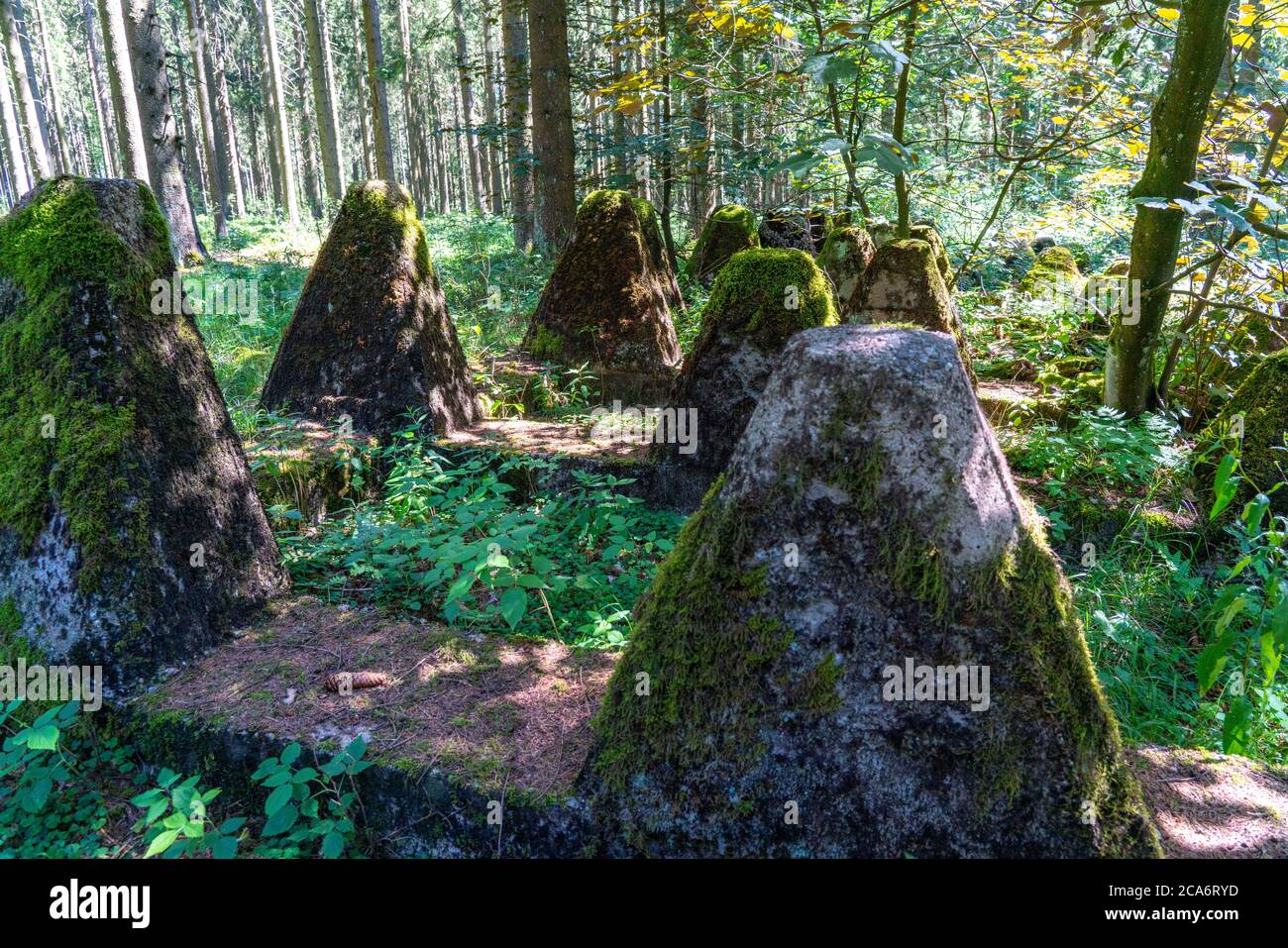 Remains of the former Westwall, tank traps, on the border with Belgium, in a forest near the village of Miescheid, NRW, Germany, Stock Photo