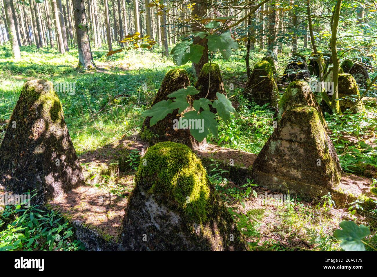 Remains of the former Westwall, tank traps, on the border with Belgium, in a forest near the village of Miescheid, NRW, Germany, Stock Photo