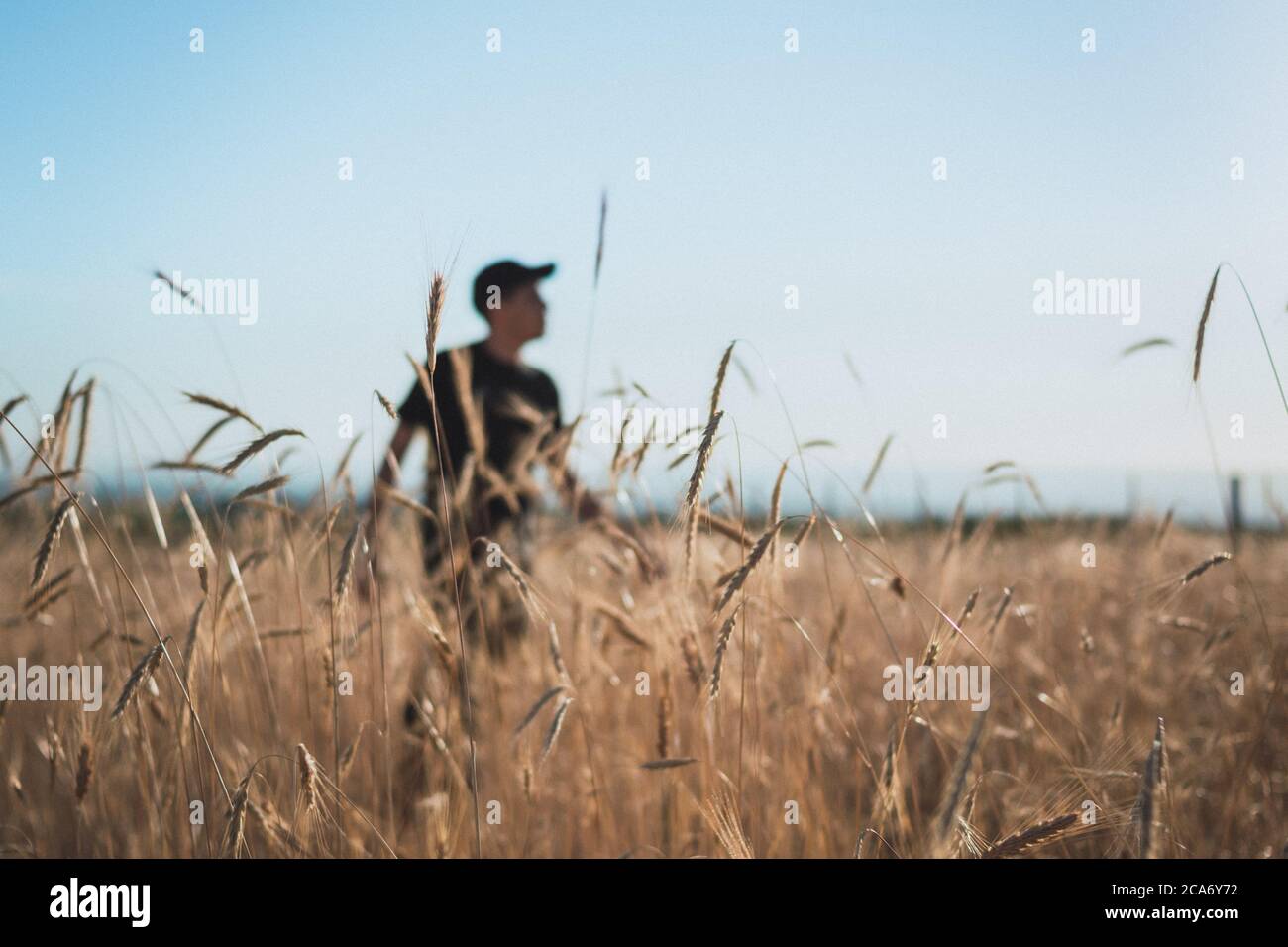 Sunlight man prairie field hi-res stock photography and images - Alamy