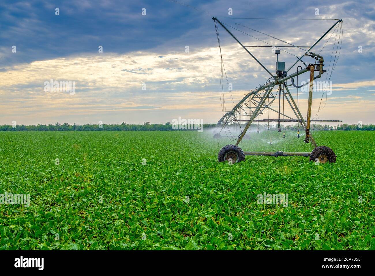 How To Install An Irrigation System | Sprinkler Warehouse