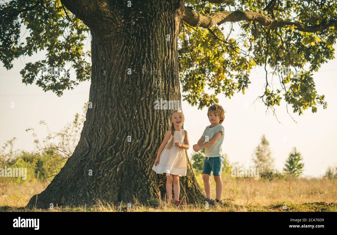 Happy kids on countryside. Climbing trees children. Little boy and girl