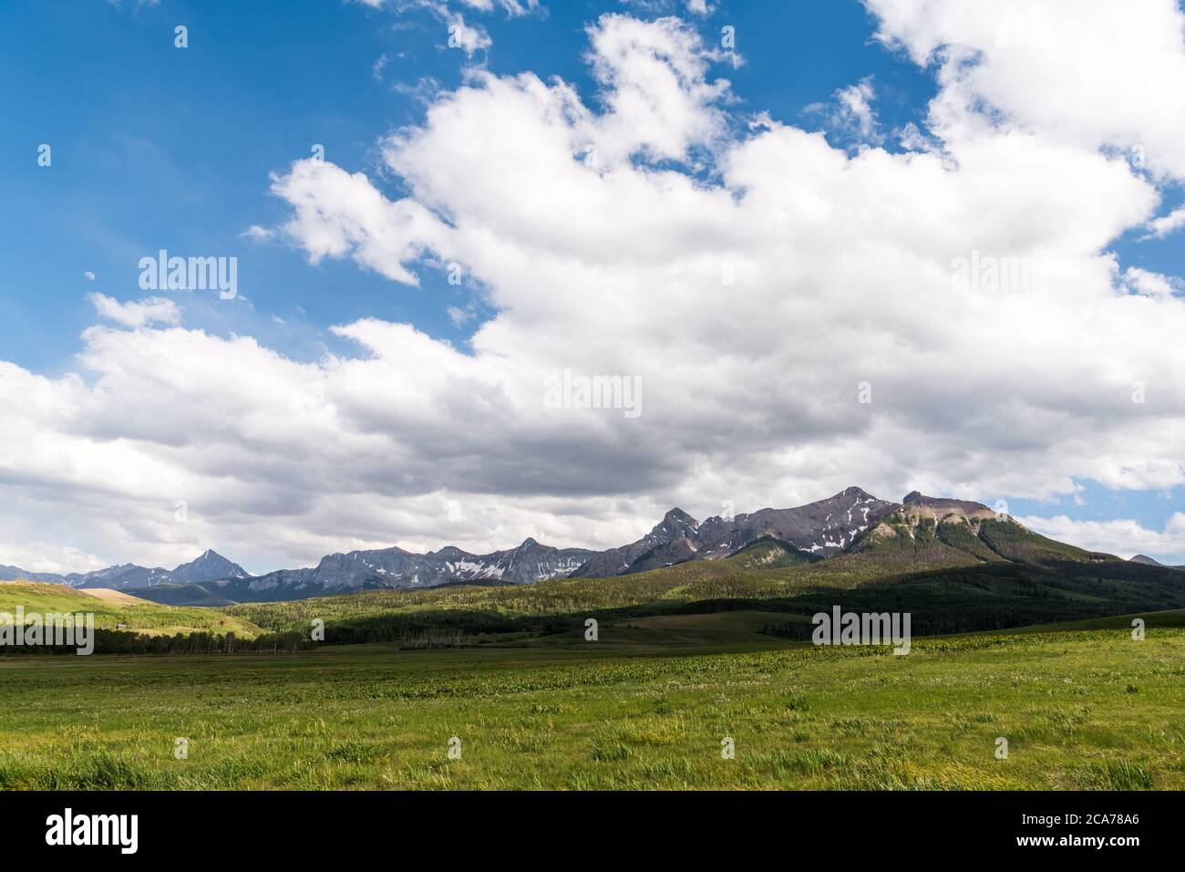 Lush green, grassy fields dotted with wildflowers in open ranchland below the snow-capped San Juan mountains in southwestern Colorado, UA Stock Photo