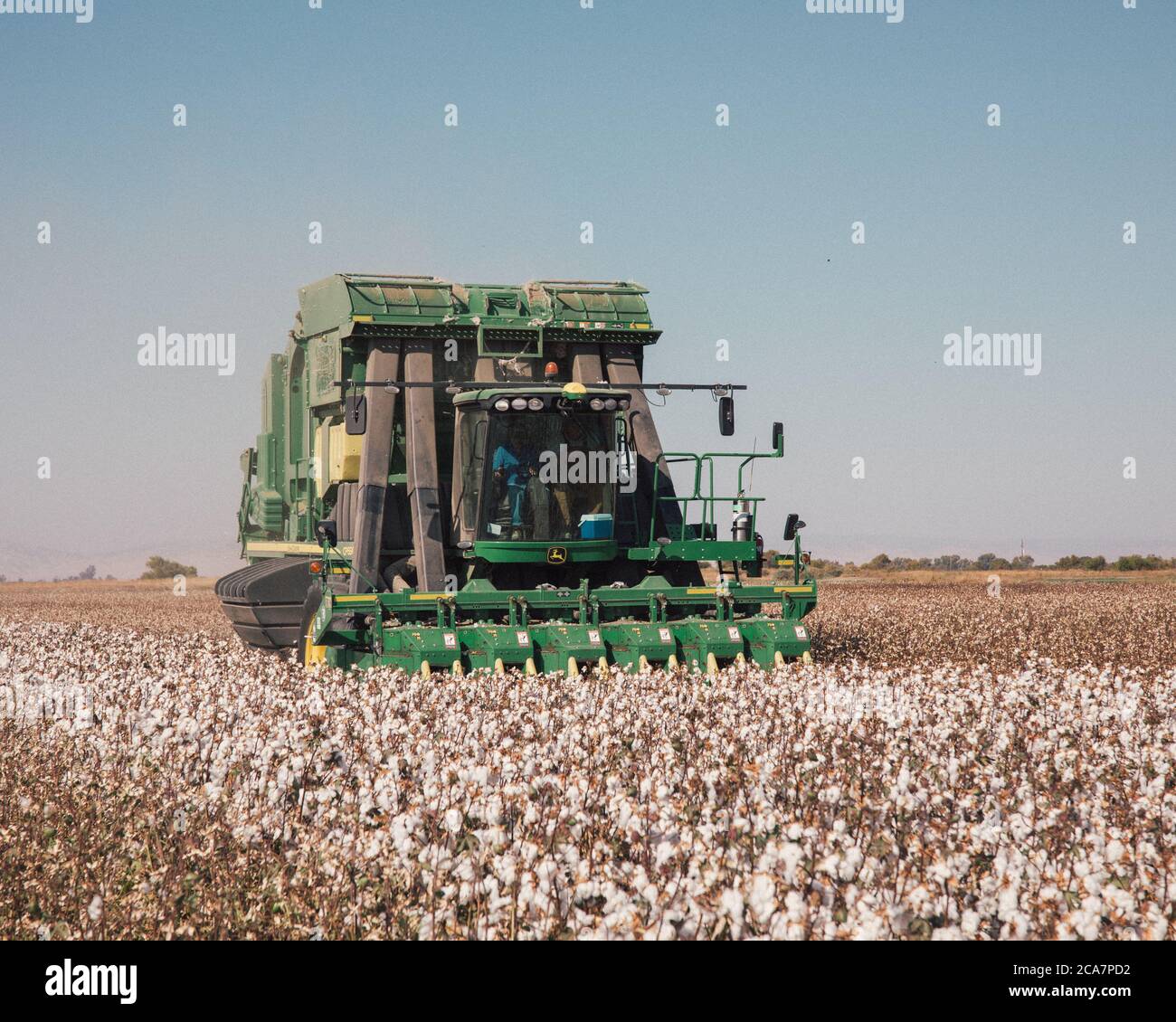 Cotton harvester hires stock photography and images Alamy