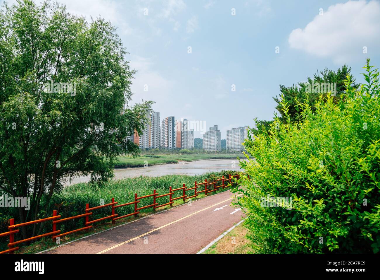 Ansan Reed Marsh Park and apartment buildings in Ansan, Korea Stock
