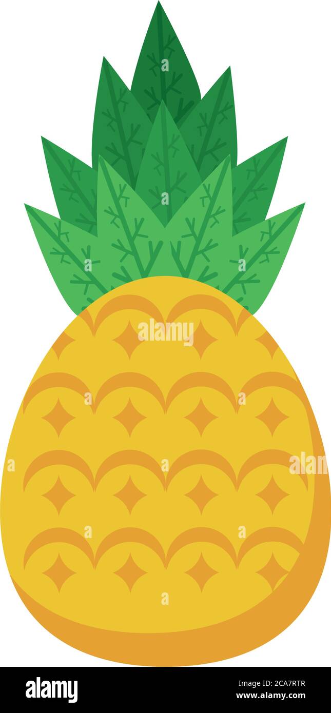 pineapple tropical fresh fruit icon vector illustration design Stock ...
