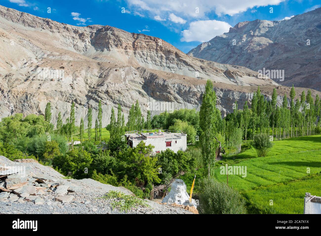 Water | Free Full-Text | Urban Mountain Waterscapes: The Transformation of Hydro-Social Relations in the Trans-Himalayan Town Leh, Ladakh, India