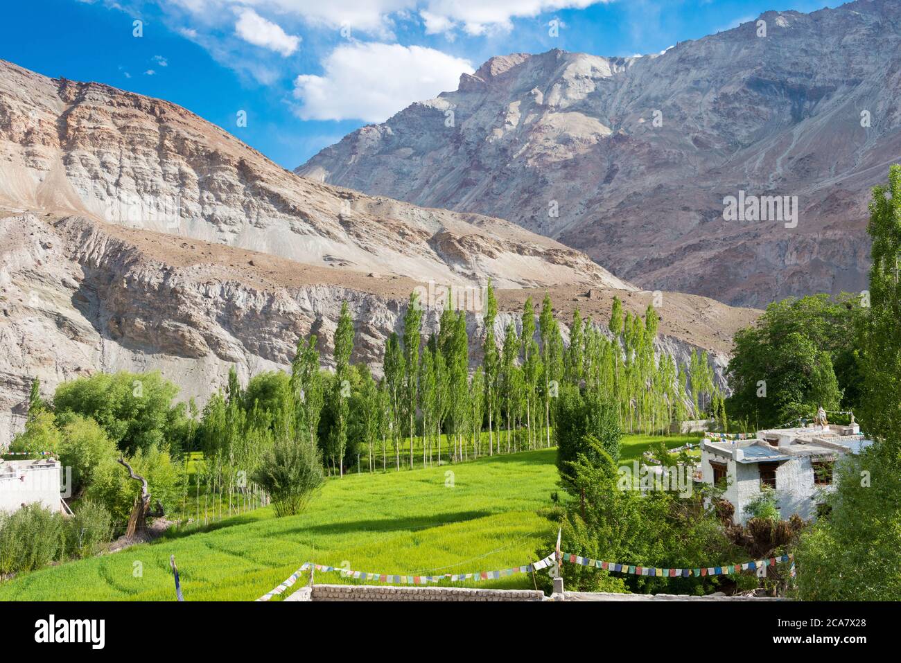 Ladakh, India - Chilling Village in Leh, Ladakh, Jammu and Kashmir, India Stock Photo - Alamy