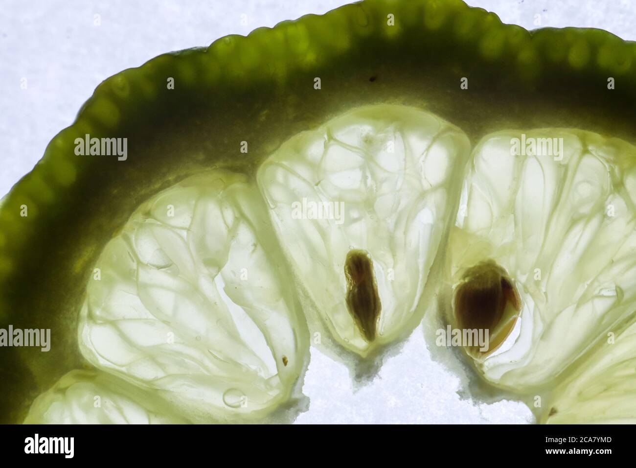 macro slices of lemon green Stock Photo