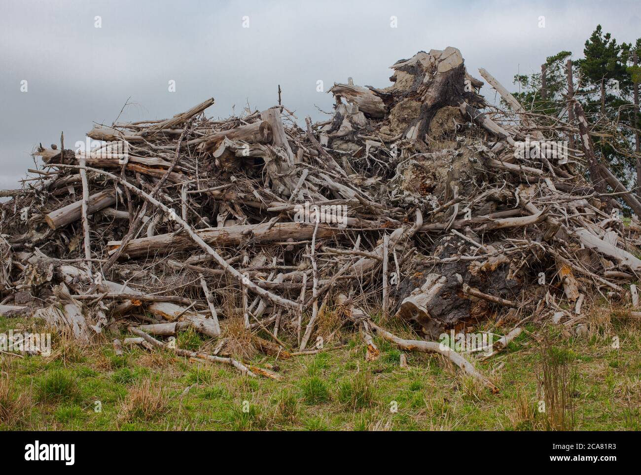 New Zealand Countryside wood pile Stock Photo Alamy