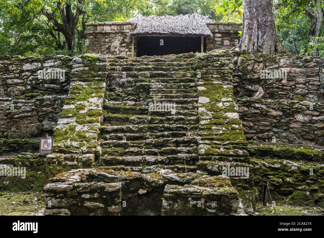 Structure 9K-1, Temple 8 or the Pink Palace in the ruins of the Mayan city of Muyil or Chunyaxche in the Sian Ka'an UNESCO World Biosphere Reserve. Stock Photo