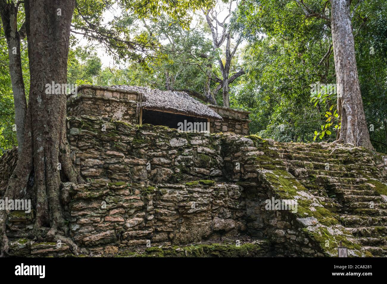 Structure 9K-1, Temple 8 or the Pink Palace in the ruins of the Mayan city of Muyil or Chunyaxche in the Sian Ka'an UNESCO World Biosphere Reserve. Stock Photo