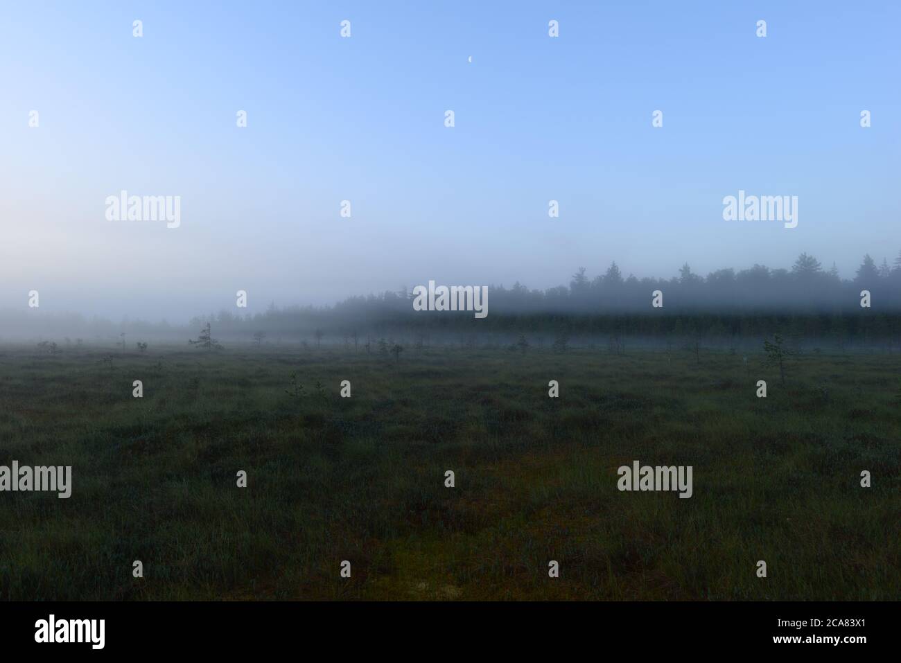 Moon with fog hi-res stock photography and images - Alamy
