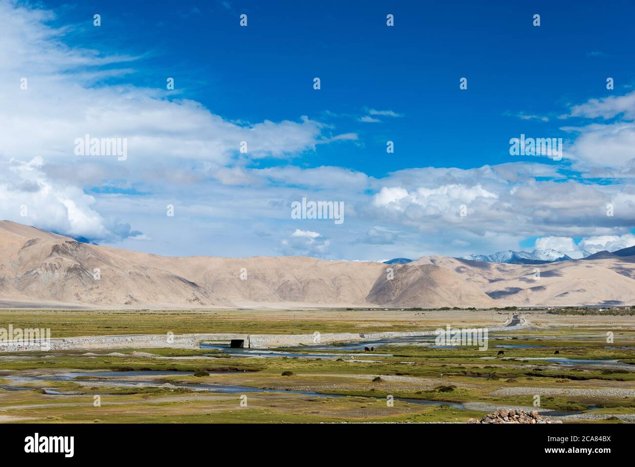 Ladakh, India - Beautiful scenic view from Between Chushul and Pangong ...