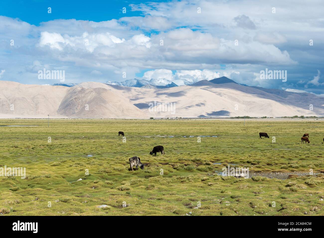 Ladakh, India - Beautiful scenic view from Between Chushul and Pangong ...