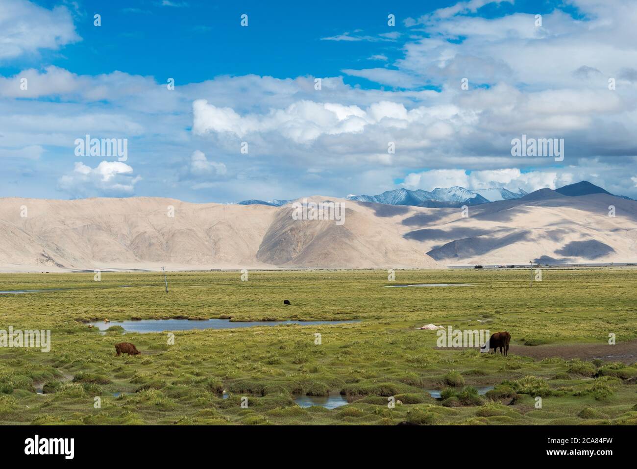 Ladakh, India - Beautiful scenic view from Between Chushul and Pangong ...