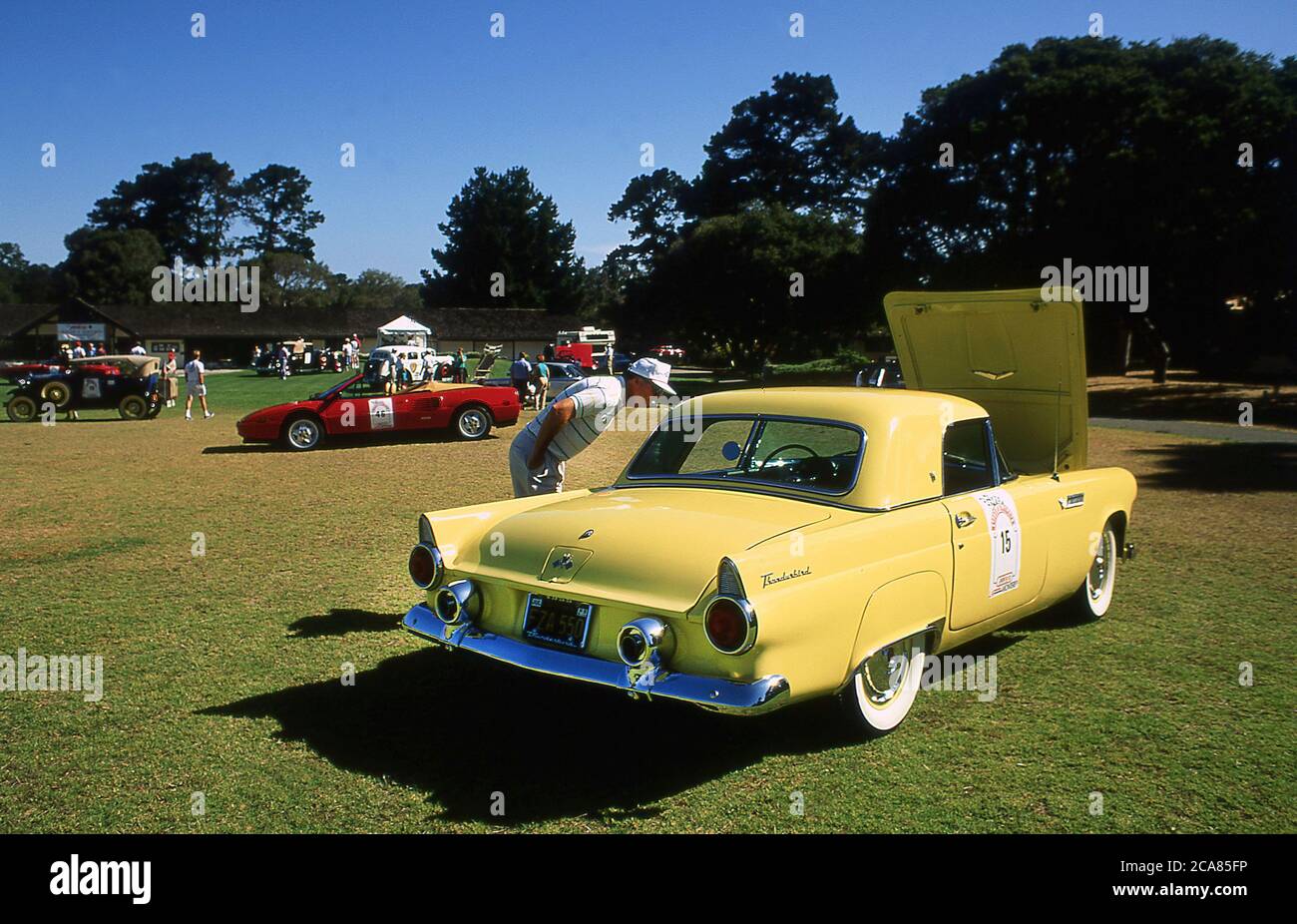 Ford Thunderbird part of the Rallye And Elegance participants. LA to Monterey car week 1990 Stock Photo