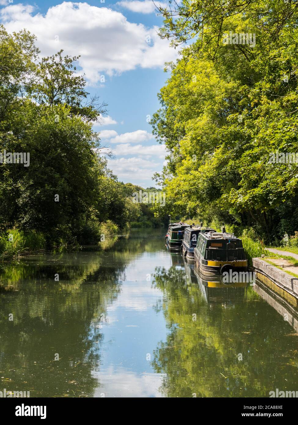 Beautiful Peaceful Landscape, Kennet and Avon Canal, Newbury, Berkshire, England, UK, GB. Stock Photo