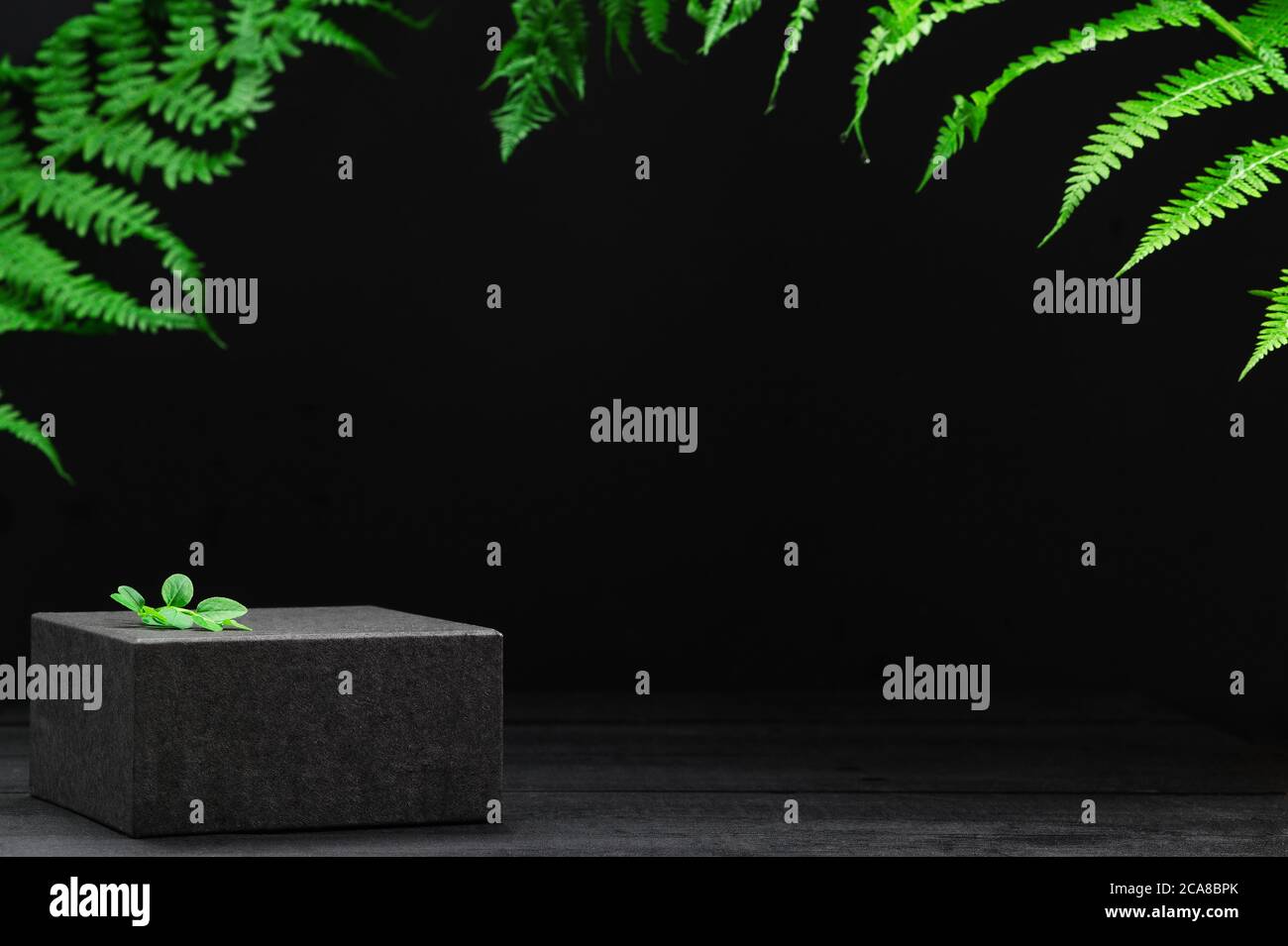 Download Product Banner Tropical Leaves On Background Showcase For Cosmetic Products And Goods On Natural Backdrop Mockup Style Place For Text Or Design E Stock Photo Alamy