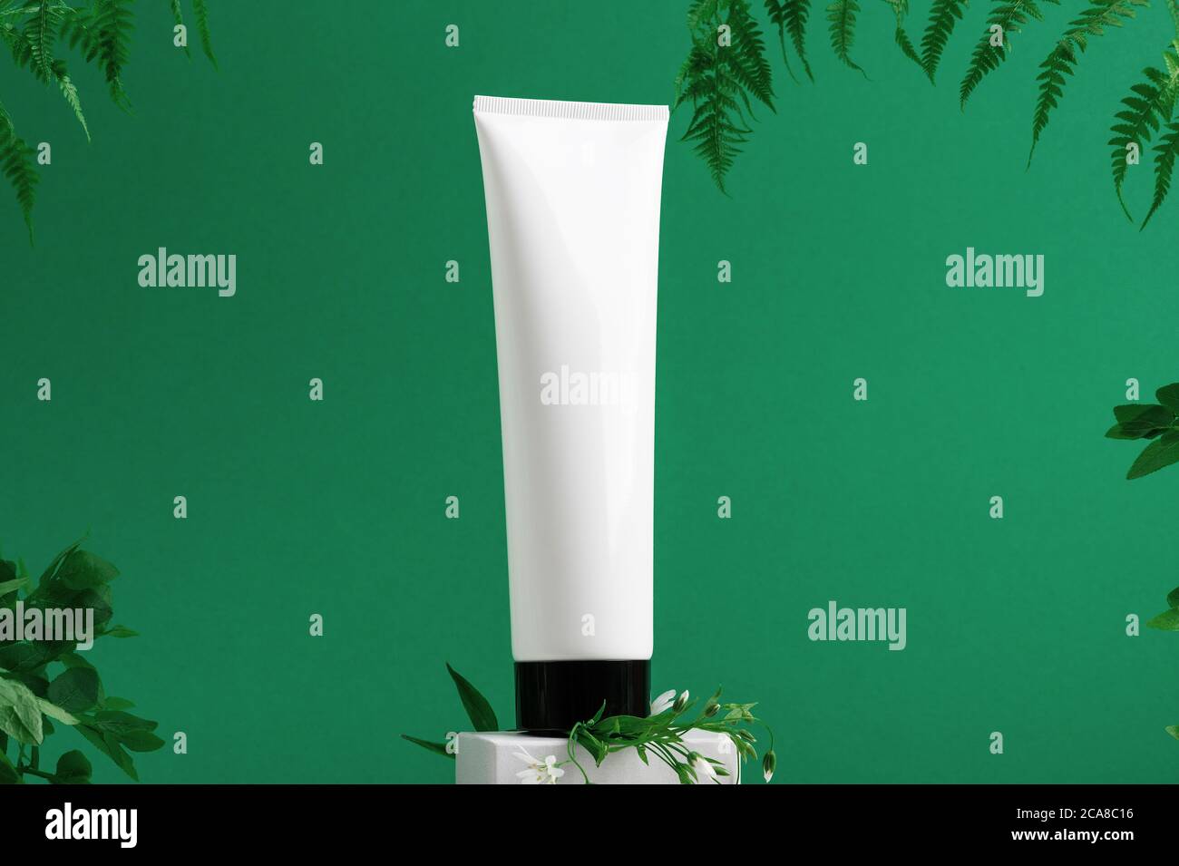 Unbranded container on shopfront. Plastic tube for toiletry. Tropical leaves on background. Flacon for professional cosmetics. Copy space. Eco product Stock Photo
