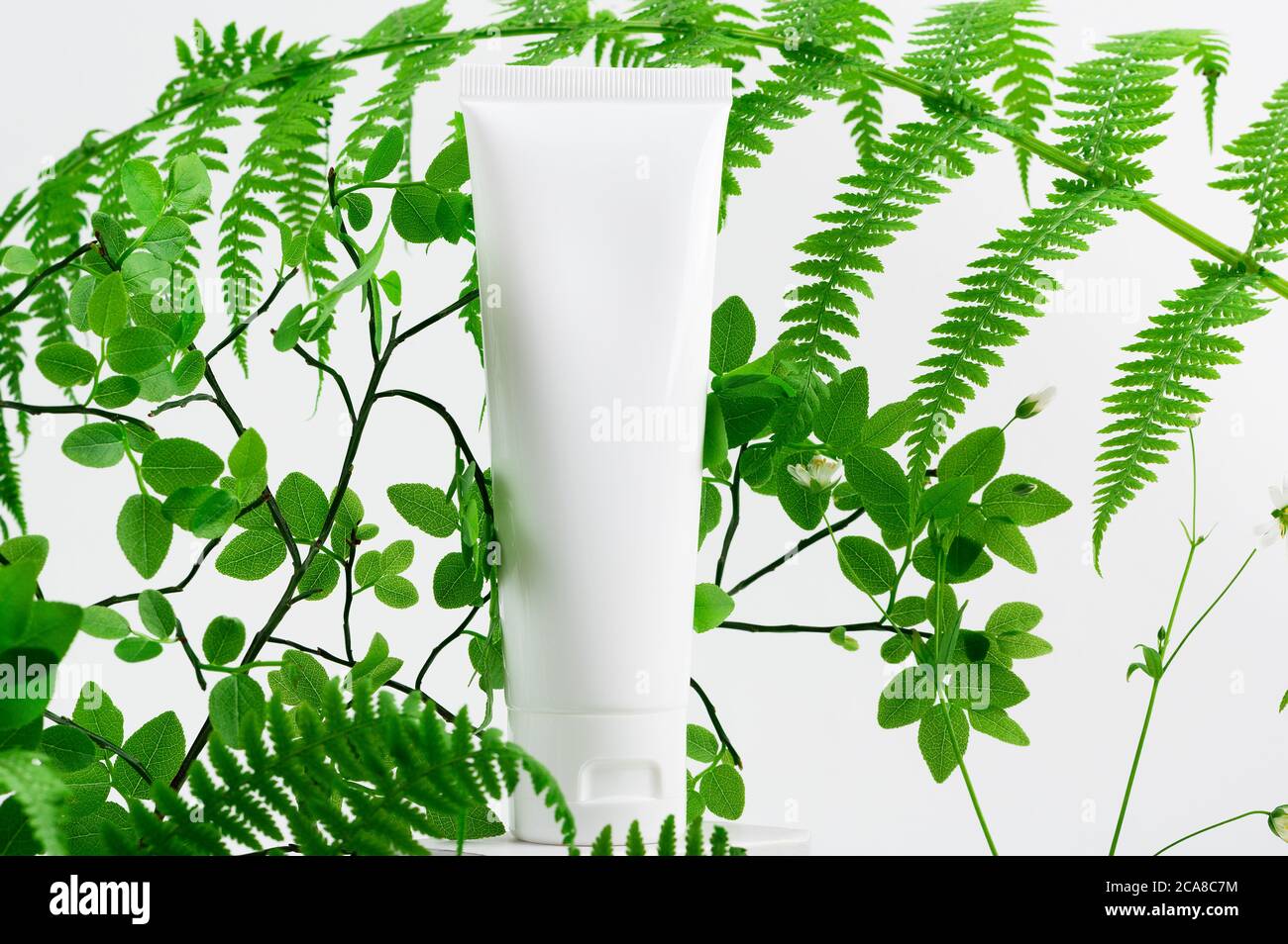 Container for lotion or toiletry. Unbranded flacon on stand. Forest fern leaves on light background. Tube for professional cosmetics, copy space. Eco- Stock Photo