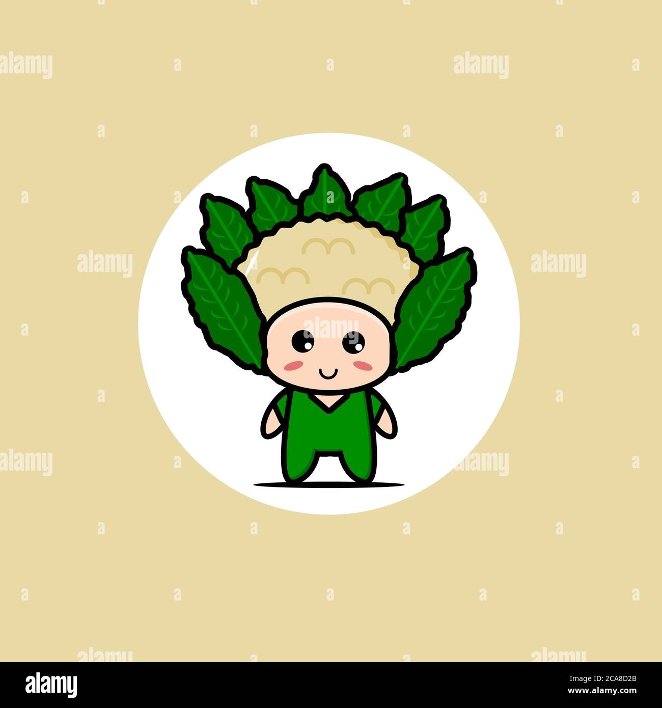 Vegetable Cartoon Cauliflower High Resolution Stock Photography And Images Alamy