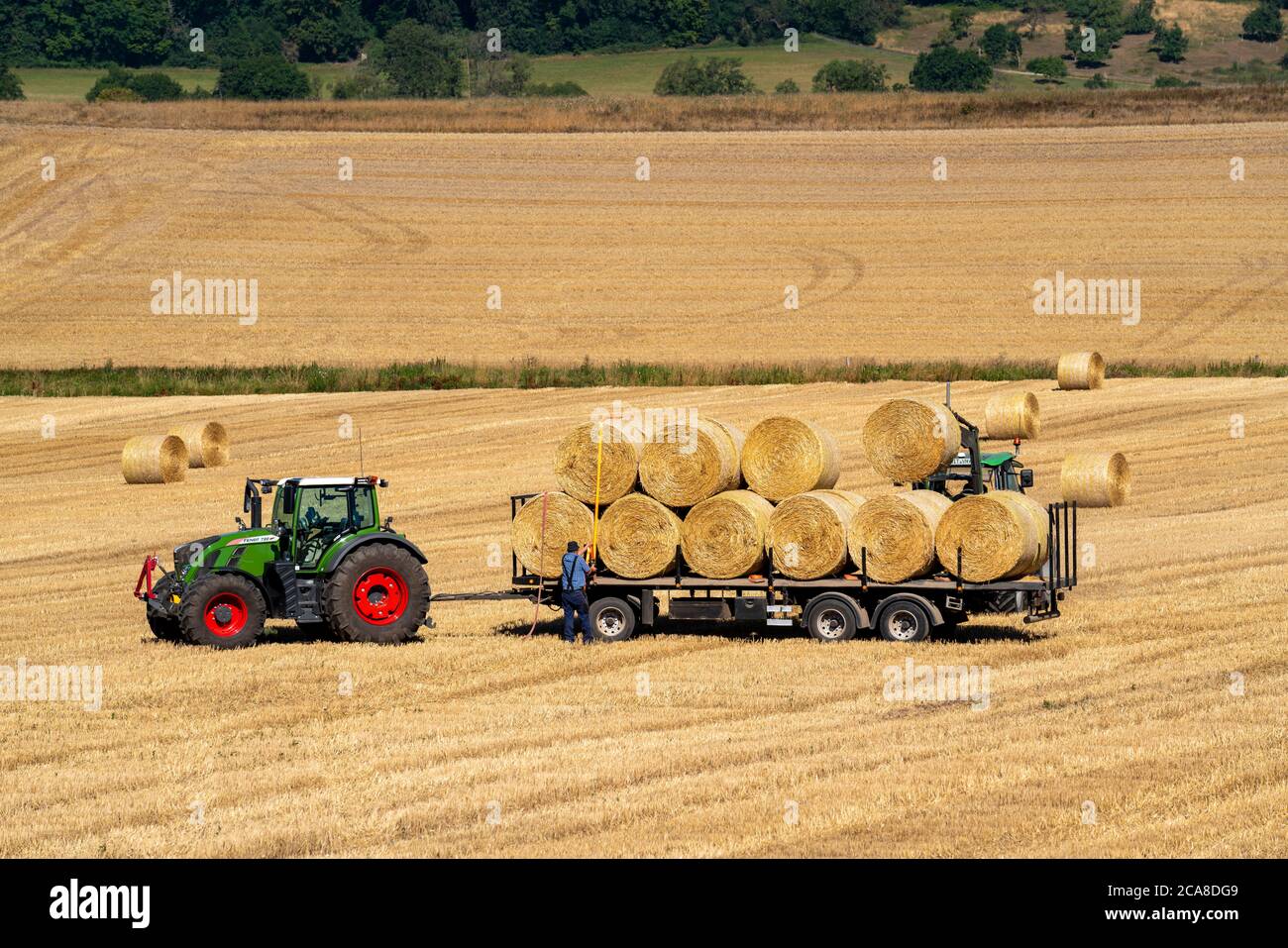 Straw harvest, straw bales are loaded on a transport trailer, after the