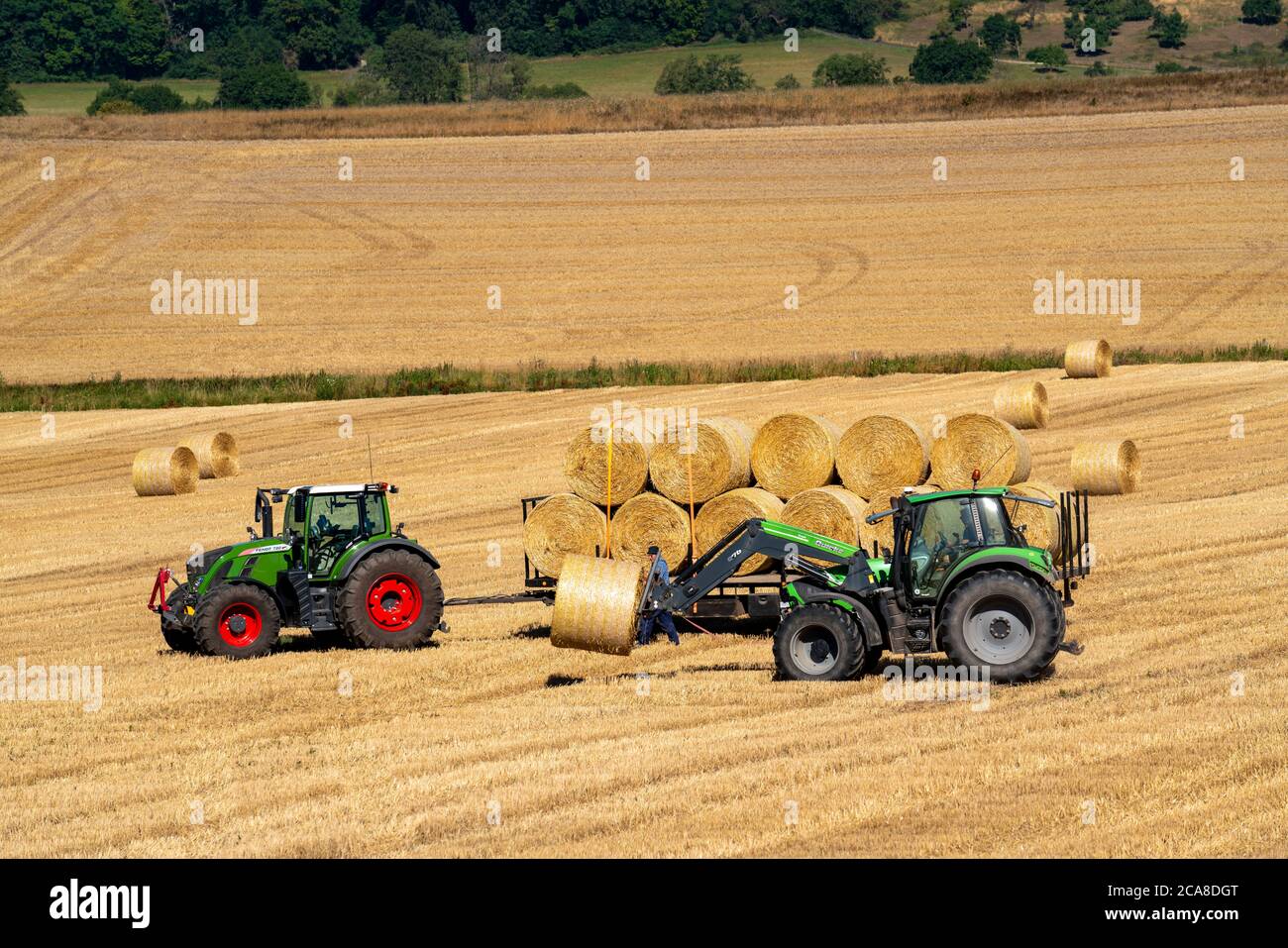 Straw harvest, straw bales are loaded on a transport trailer, after the