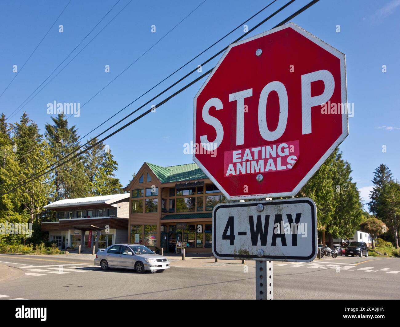 'Stop Eating Animals'.  Stop sign in Tofino, Canada,  with sticker added to promote vegetarianism or veganism. Stock Photo