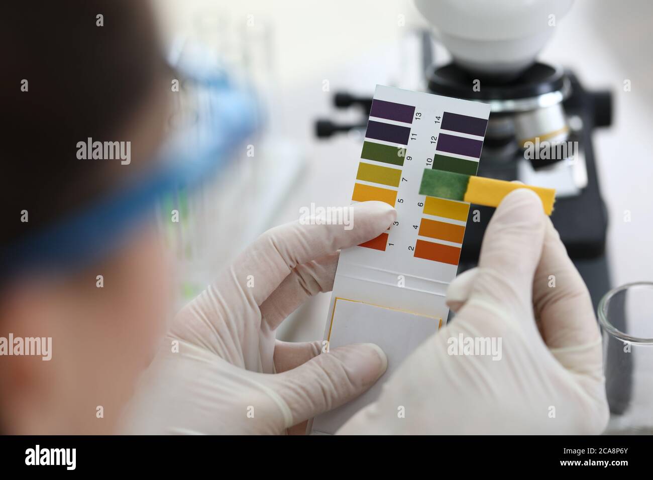 The woman looks at lukmus and analyzes the soil Stock Photo