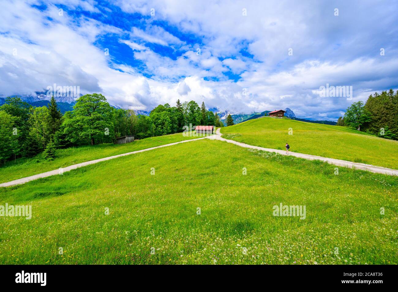 View from the top of Mountain Eckbauer to alps in the region of Garmisch-Partenkirchen, close to Zugspitze - Beautiful landscape scenery in Bavaria, G Stock Photo