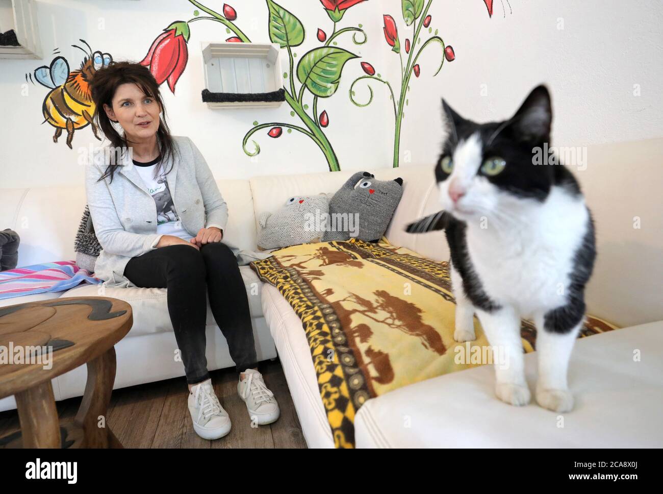 Neustrelitz, Germany. 14th July, 2020. Manuela Jeschke, founder of the private animal protection initiative Katzenparadies Neustrelitz, sits with a cat in the 'cat living room'. More than 50 velvet paws currently live in the cat paradise. There are no bars here for healthy, adult and neutered animals. You can freely choose between the cat-living rooms in the house and the garden, which looks like a miniature playground for children. Only those who are new, sick or too small for outside live in enclosures for the time being. Credit: Bernd Wüstneck/dpa-Zentralbild/ZB/dpa/Alamy Live News Stock Photo