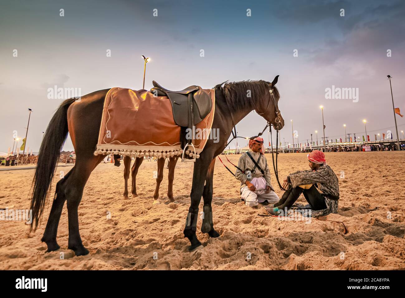 Horse and Saudi Horse rider on traditional desert safari festival on