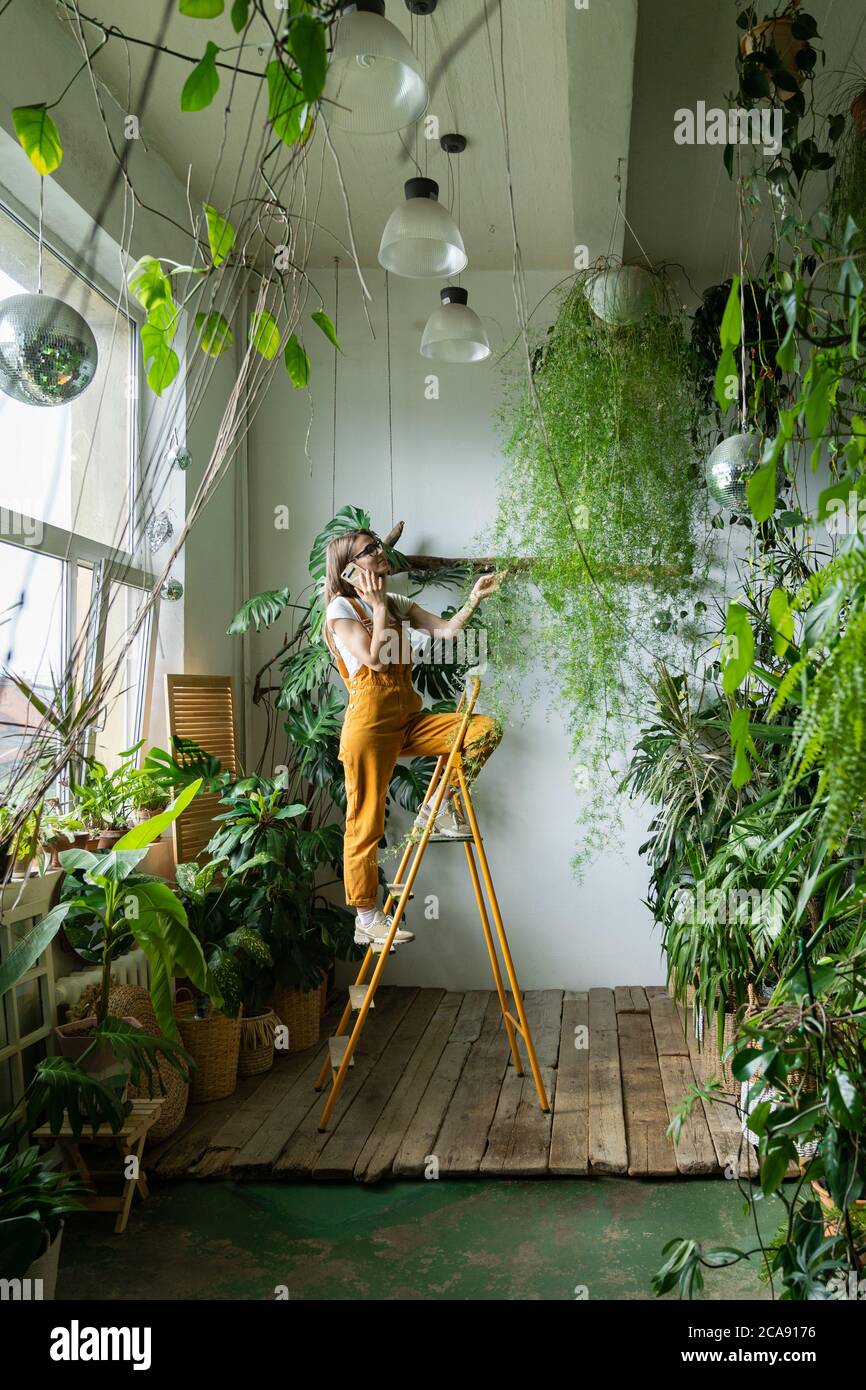 Young woman gardener in orange overalls touching lush asparagus fern houseplant in her home, standing on stepladder, talking on the phone. Greenery at Stock Photo