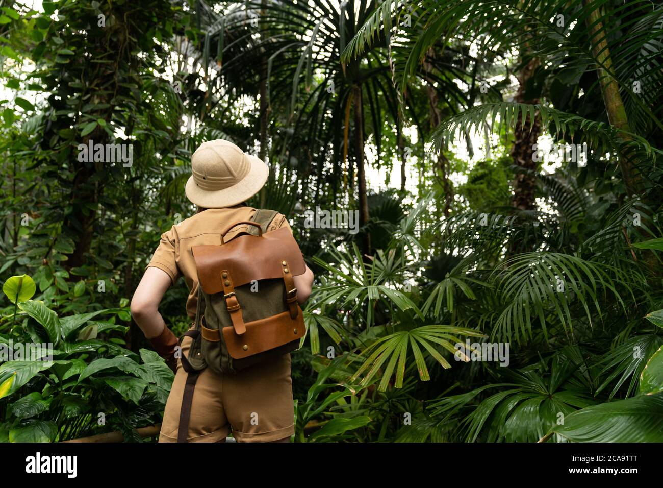 Woman botanist dressed in safari style in greenhouse, back view. Naturalist in khaki clothes, leaver gloves with backpack walks in the rainforest surr Stock Photo