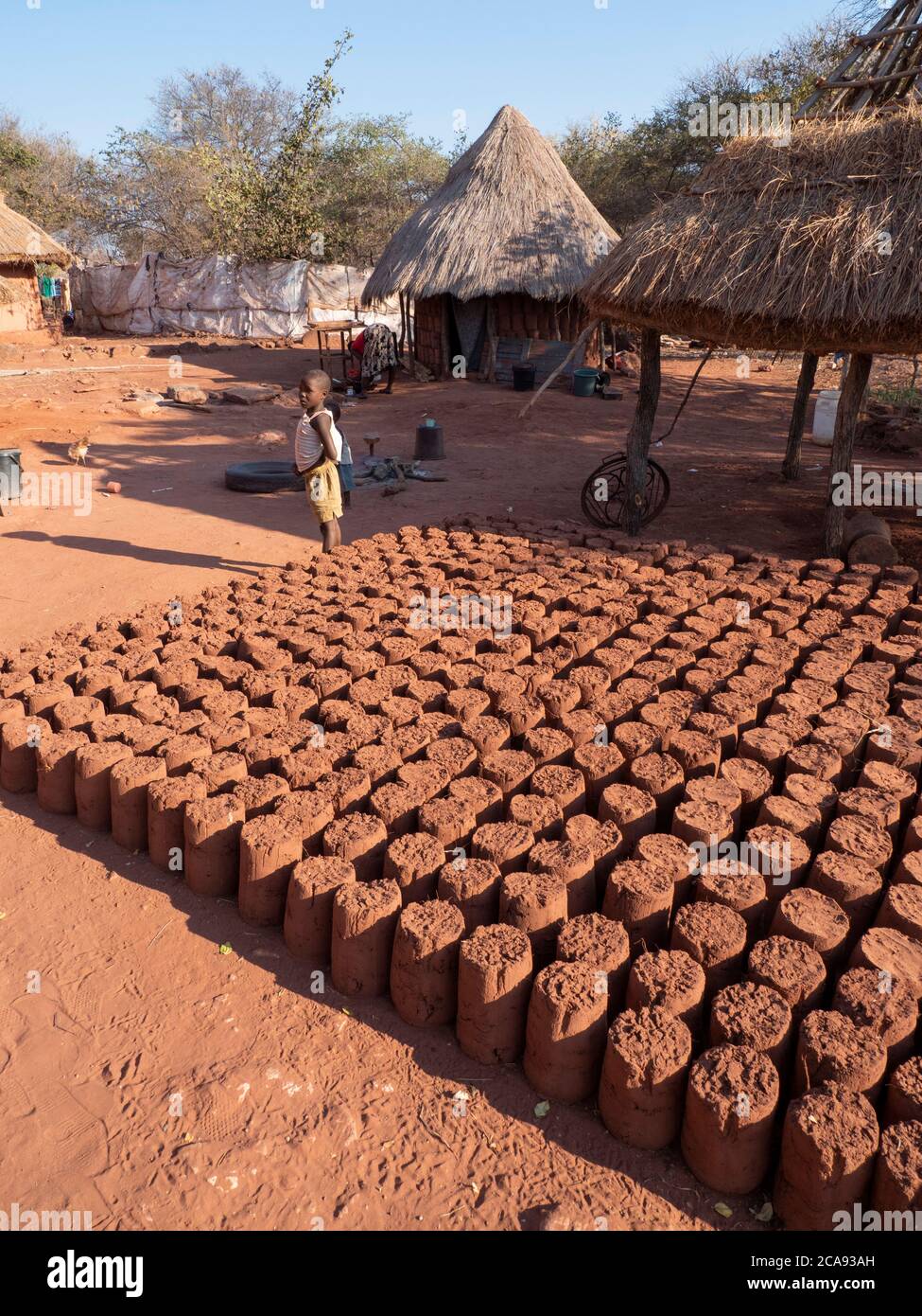 Mud bricks drying in the sun in the fishing village of Musamba, on the shoreline of Lake Kariba, Zimbabwe, Africa Stock Photo