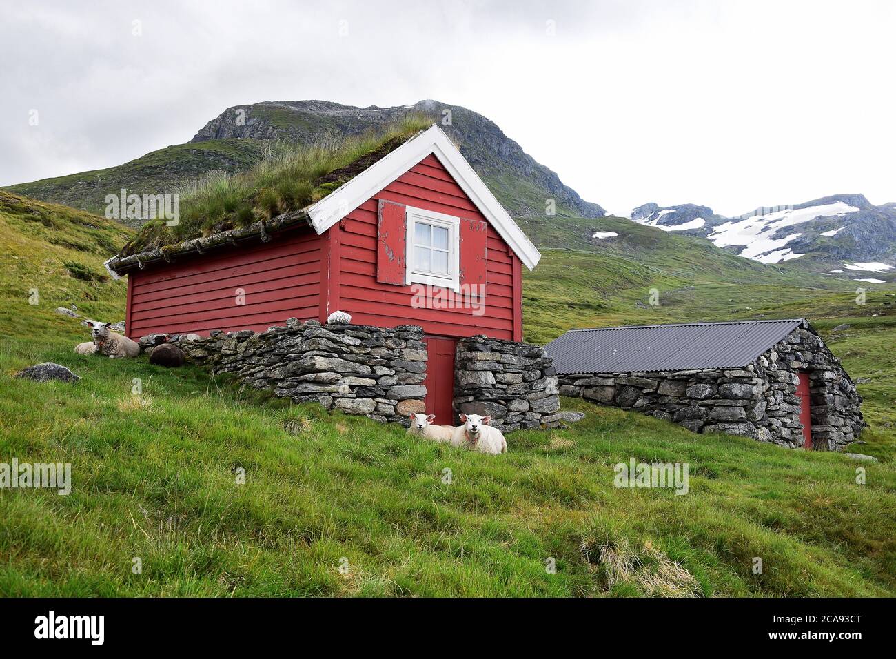 NORWEGIAN LANDSCAPES WITH WOODS, MOUNTAINS AND FJORDS Stock Photo