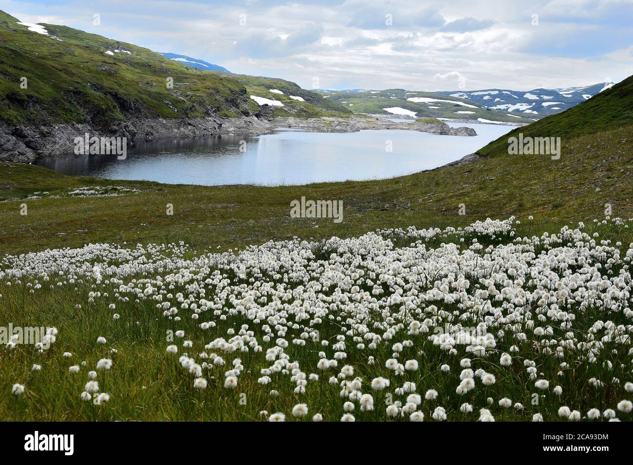 NORWEGIAN LANDSCAPES WITH WOODS, MOUNTAINS AND FJORDS Stock Photo
