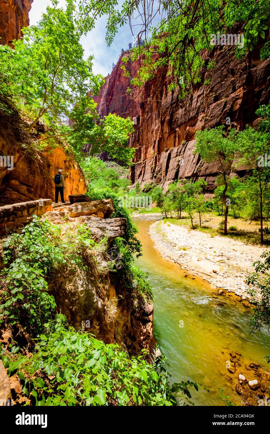 The Narrows Canyon Trail, Zion National Park, Utah, United States of America, North America Stock Photo