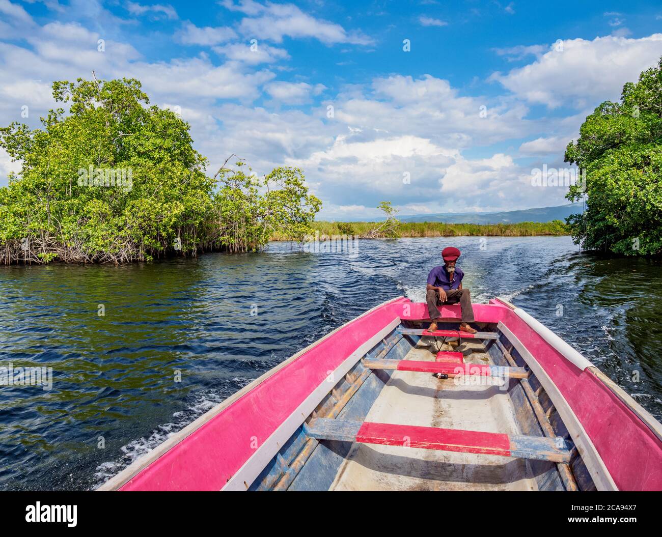 Black River Safari, Saint Elizabeth Parish, Jamaica, West Indies