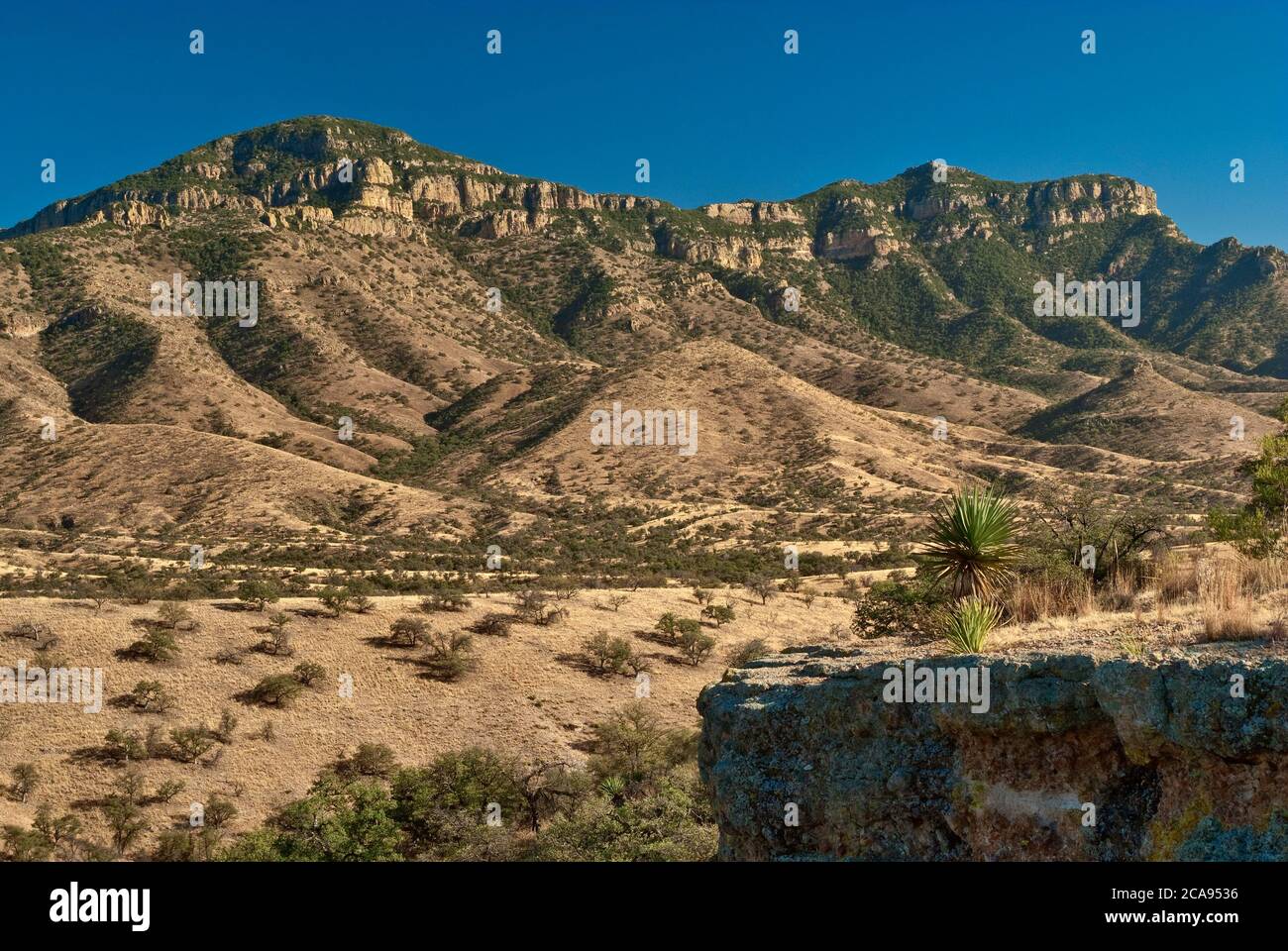Atascosa Mountains at Sonoran Desert seen from Ruby Road near Mexican border and ghost town of Ruby, Arizona, USA Stock Photo