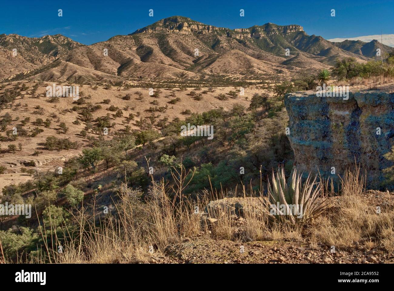 Atascosa Mountains at Sonoran Desert seen from Ruby Road near Mexican border and ghost town of Ruby, Arizona, USA Stock Photo