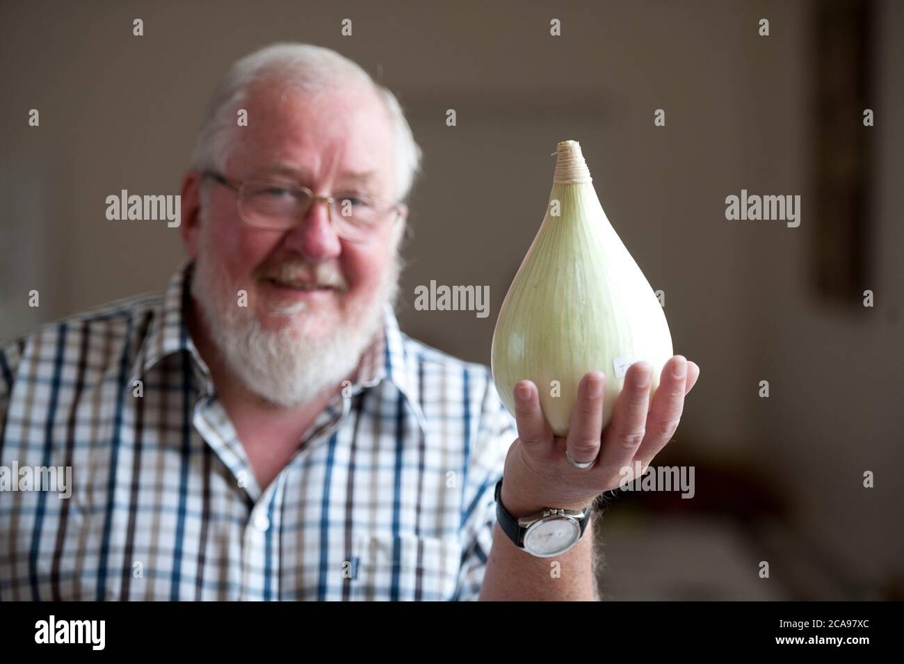 Penllergaer Gardening Club annual show at the Llewellyn Hall in Penllergaer, Swansea. Stuart Johns the Committee Chairman holds up a giant onion. Stock Photo