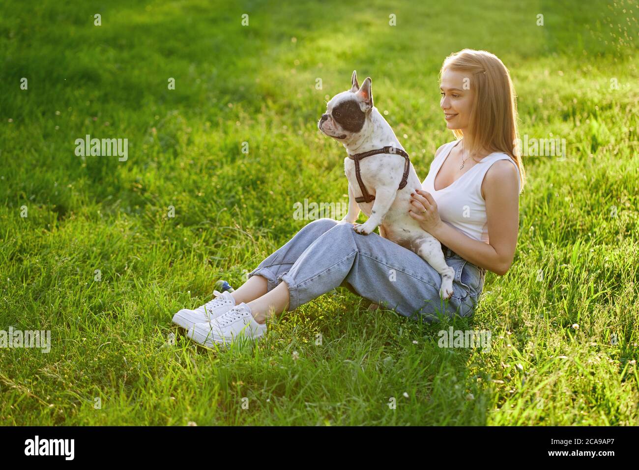Top view of young happy woman sitting on grass with lovely french bulldog. Gorgeous caucasian smiling girl enjoying summer sunset, holding dog on knees in city park. Human and animal friendship. Stock Photo